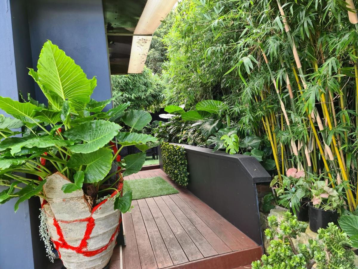 Bamboo House, Close To The City & Airport & Train Station And Brighton Le Sands Beach Sydney Eksteriør billede
