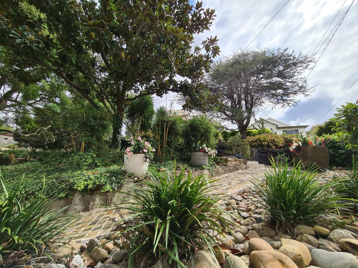 Bamboo House, Close To The City & Airport & Train Station And Brighton Le Sands Beach Sydney Eksteriør billede